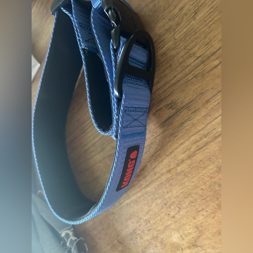 Kong Blue xl collar brand new